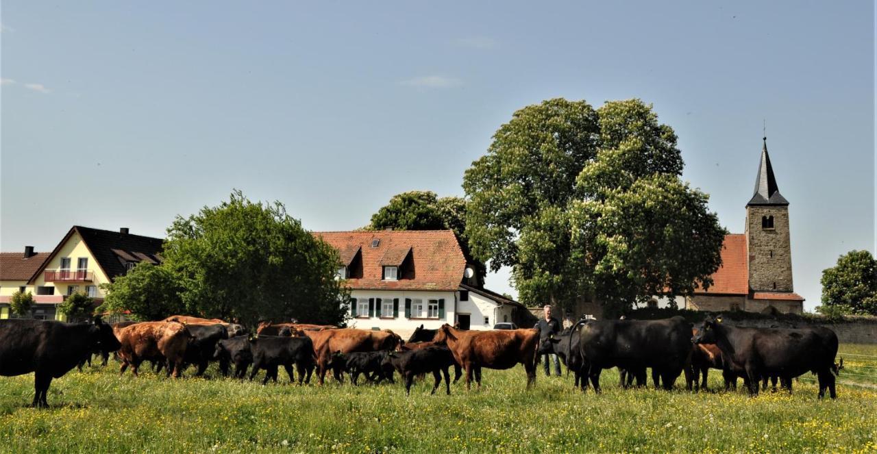 Schaefer'S Ferienhof Michaelsberg Gundelsheim  Kültér fotó