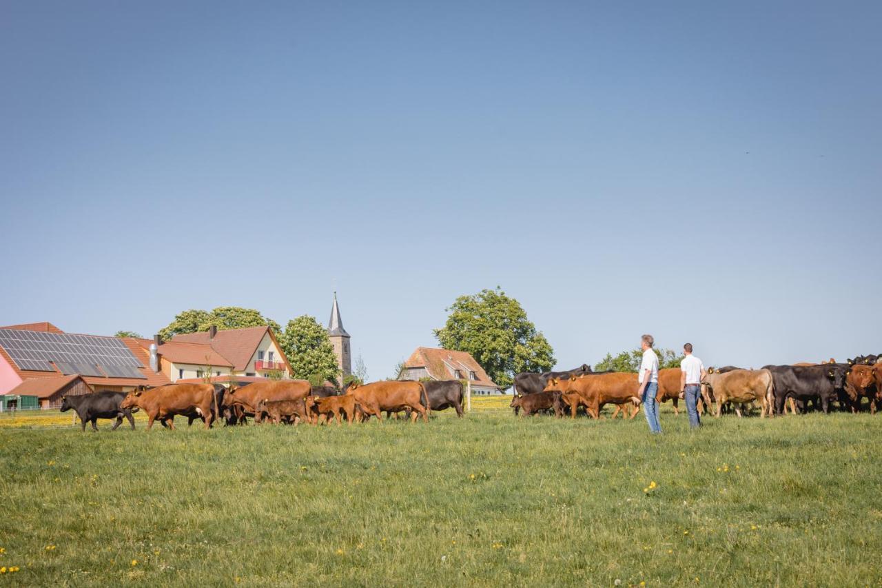 Schaefer'S Ferienhof Michaelsberg Gundelsheim  Kültér fotó